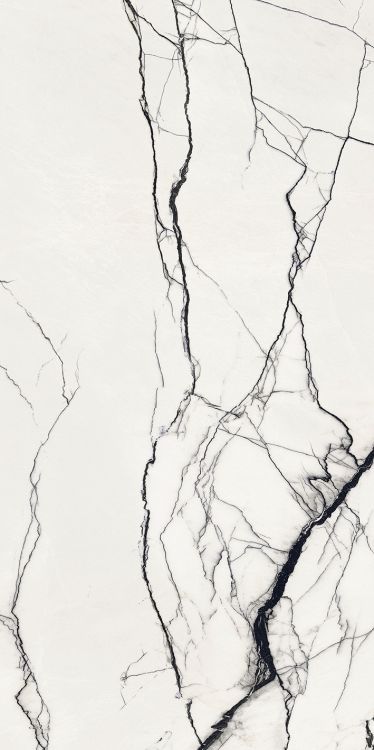 B&W Breach High-Glossy 24 x 48